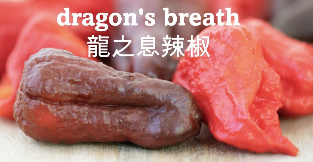 dragon's breath 辣椒