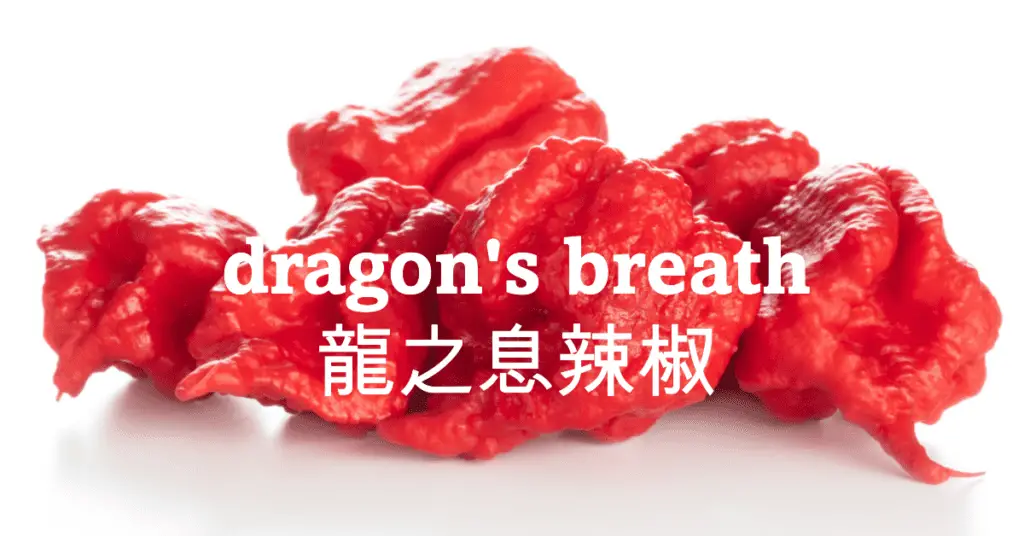 dragon's breath 辣椒