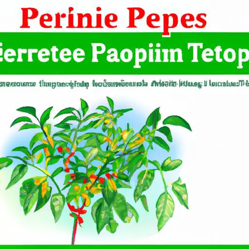 Thorn pepper 棘椒種植指南：培養與護理棘椒的必備知識