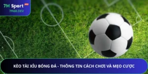 Kèo Tài Xỉu